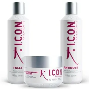 I.C.O.N. - Pack Regimedies Antioxidants Champú Fully 250 ml + Crema Antidote 250 ml + Tratamiento Infusion 250 g I.C.O.N. - Pack Regimedies Antioxidants Champú Fully 250 ml + Crema Antidote 250 ml + Tratamiento Infusion 250 g
