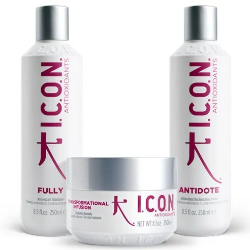 I.C.O.N. - Pack Regimedies Antioxidants Champú Fully 250 ml + Crema Antidote 250 ml + Tratamiento Infusion 250 g