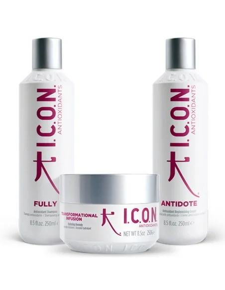 I.C.O.N. - Pack Regimedies Antioxidants Champú Fully 250 ml + Crema Antidote 250 ml + Tratamiento Infusion 250 g